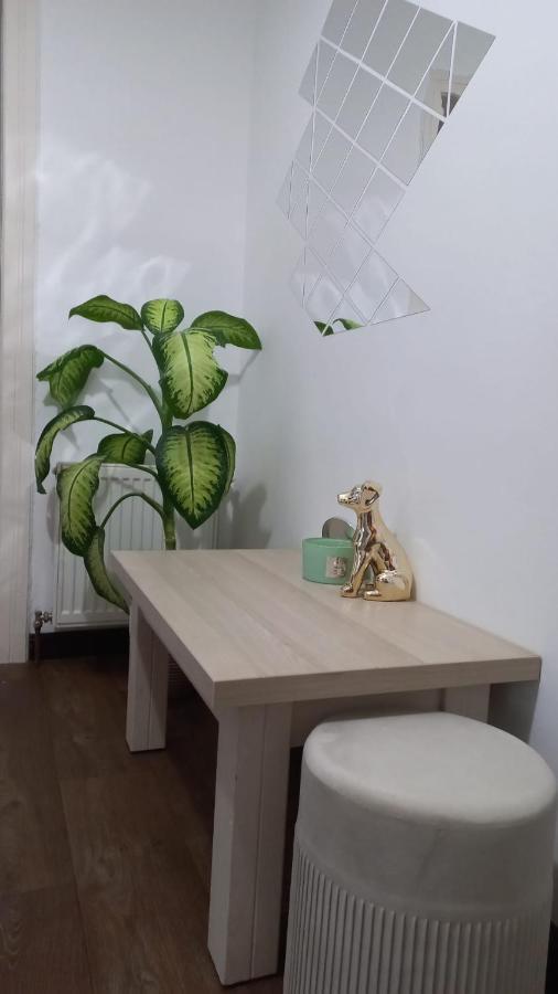 Dove Apartment Sibiu Dış mekan fotoğraf